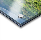 Tea Plantations 3 Acrylic print