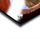 Tree by the window Acrylic print