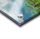 Tea Plantation Wonders Acrylic print