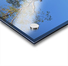 Temple Tree 2 Acrylic print