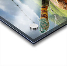 Coconut Knife 2 Acrylic print