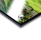 Half trees Impression Acrylique