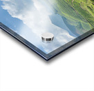 Tree Through the Tea 2 Acrylic print