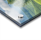 Trees Through the Tea Impression Acrylique