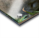 Sleep Well Koala Acrylic print