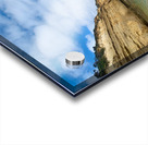 Bird on the Beach Acrylic print