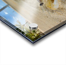 White Crab on the Beach Acrylic print