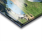 White Kangaroo Chilling Acrylic print