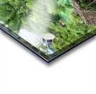 Across the Bamboo Bridge Acrylic print