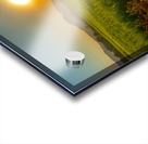 Sunset Over the Field Acrylic print