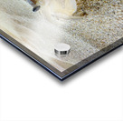 Crab on the Beach 2 Impression Acrylique