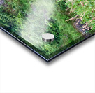 Wild Horse in the Field Acrylic print