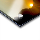 Enlightened Monkey at Sunset Acrylic print