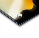 Meditative Monkey at Sunset Acrylic print