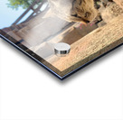 Cat Dreaming of the Future Acrylic print