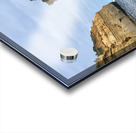 Bird on the Beach 2 Acrylic print