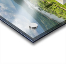 Cow with a View Acrylic print