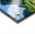 Horses by Angle Eye Mountain Acrylic print