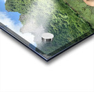 Horses in Paradise Acrylic print