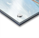 Front of Long Tail Boat Acrylic print