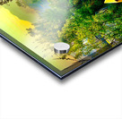 Colorful River Acrylic print