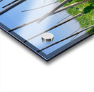 House behind the Bamboos Impression Acrylique