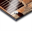 Doggy in Jail Acrylic print