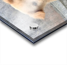 Cutest Puppy Ever Posing Acrylic print