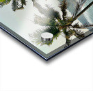 Palm Trees by the Beach Acrylic print