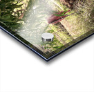 Lady Washing her Hair in the River Acrylic print