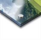 Lonely Horse Acrylic print