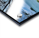 Swings by the Ocean Acrylic print