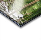 The Canopy Acrylic print