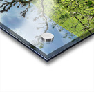 Trees in the Tea Plantations Acrylic print