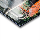 Tail Gate Chaos Acrylic print