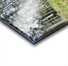 White Trees Acrylic print