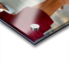 Monks Feet Acrylic print