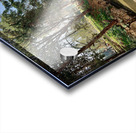 Little Waterway Acrylic print