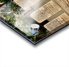 The Man and the Dog Acrylic print