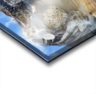 Special Rock Art Impression Acrylique