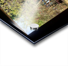 Tree by the Window 2 Acrylic print