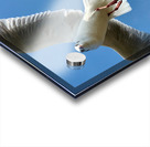 Seagull Look Acrylic print