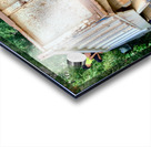 Playing with the Big Truck Acrylic print