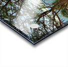 The Tree Impression Acrylique