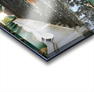 Puppy Walking Down Acrylic print