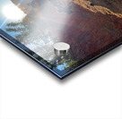 Cows in the Sun Acrylic print