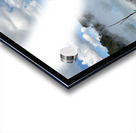 Branches reflections Acrylic print