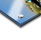 Fast Boat on the River Acrylic print