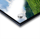 Tea Plantations 8 Impression Acrylique