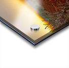 Sunset Over the Red Soil  Acrylic print